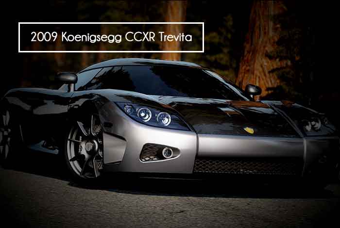  2009 Koenigsegg CCXR Trevita