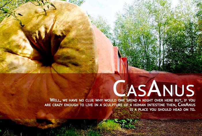 CasAnus- Belgium