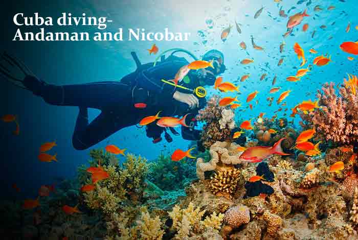 Scuba diving – Andaman and Nicobar
