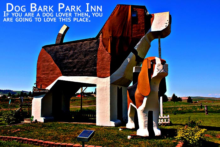 Dog Bark Park Inn, Idaho