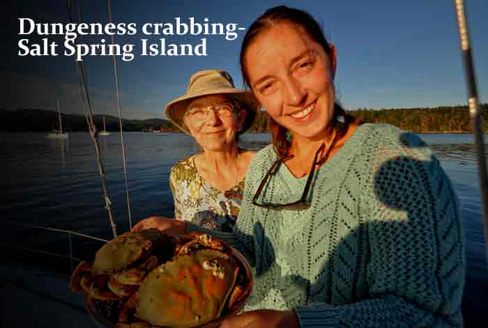 Dungeness crabbing- Salt Spring Island