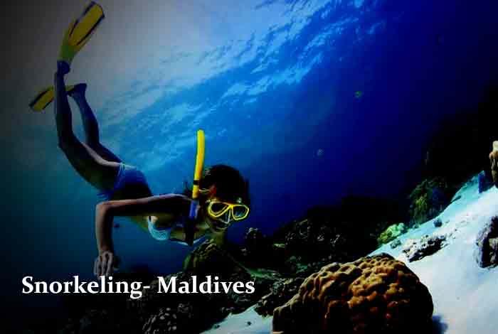Snorkelling – Maldives