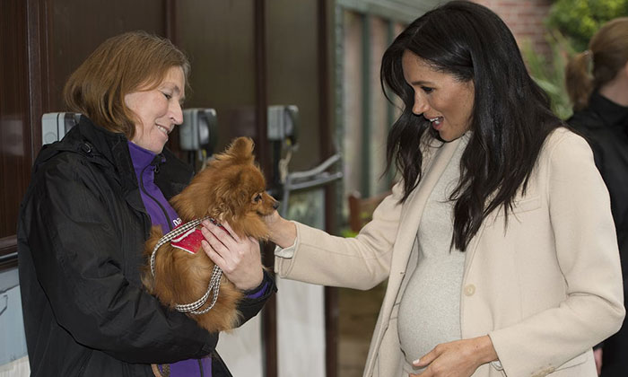 This one is a cute photo showing Meghan's love for animals.