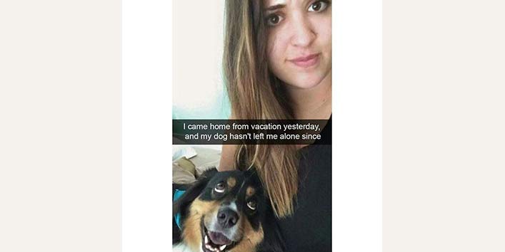 Dog Memes