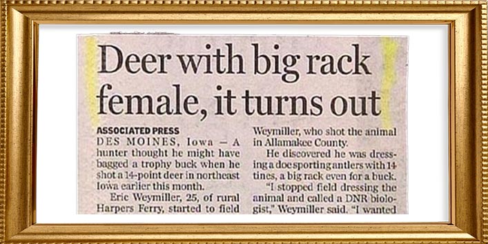 hilarious news headlines 