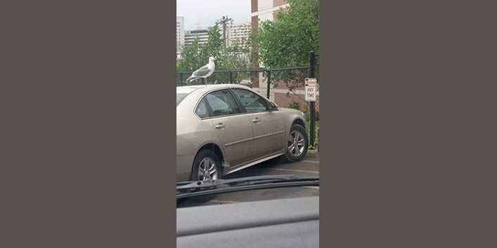 Karma