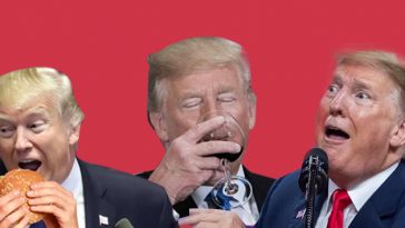 15 Things About Trump That Will Make You LOL